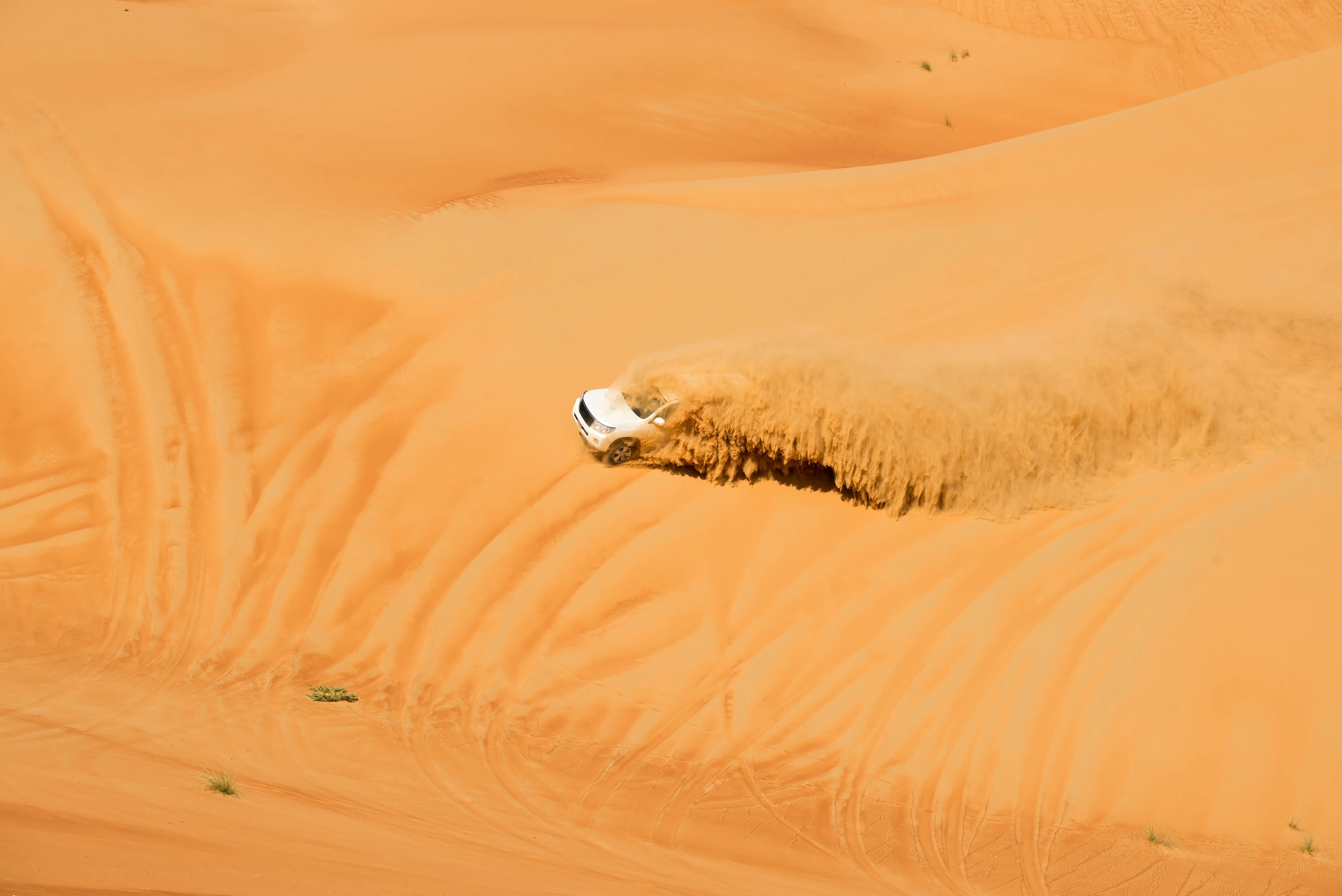 Dubai desert safari adventures