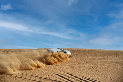 Evening Desert Safari Dubai with BBQ Dinner & Camel Ride